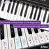 QMG Colorful Piano Stickers for Keys, Removable for 49/61/76/88 Key Keyboard, No Residue, Kids Learning