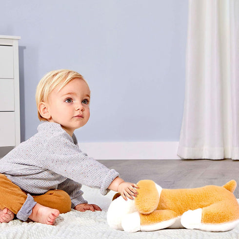 18" 3lb Niuniu Daddy Weighted Dog Stuffed Animal for Kids & Adults, | Weighted Plushies Pillow for Sleeping