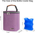 Pack 4 9 Breast Milk Cooler Bag with Ice Fits Baby Bottles Up to Ounce, Baby Bottle Bag Great for Nursing Mom Daycare