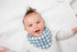 lulujo Soft Cotton Baby Bib, 2 Pack, Fish/Gingham
