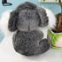 Cute Koala Bear Plush Doll for Kids - Cushion Stuffed Koala Toy