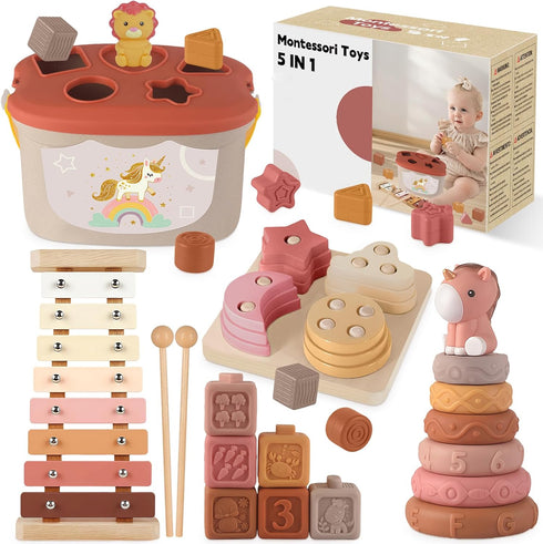 FEBALHS Montessori Toys for 6-12 Months, Baby Toys 6-12-18 Months with Montessori