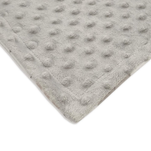 BORITAR Baby Blanket, Soft Minky with Double Layer Dotted Backing, Lovely Animals, 30 x 40 Inch