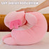 Somao Long Axolotl Plush Pillow, Cute Stuffed Animal Body Plush Toy for Girls Boys (100cm/39.3inch, Pink)