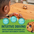 Poko Petz Remote Control Car for Toddlers - Light Up Dog Toys, Singing, Talking Preschool Toys