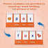 Aizweb CVC Word Builder Phonics Flash Cards for Preschool, Kindergarten, Montessori Special Education Learning
