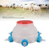 Fockety 6 Lamb Milk Feeder Bottle, Pacifier Round PC Plastics Easy to Clean Sheep Feeding Cup, Portable Safe Milk Pot