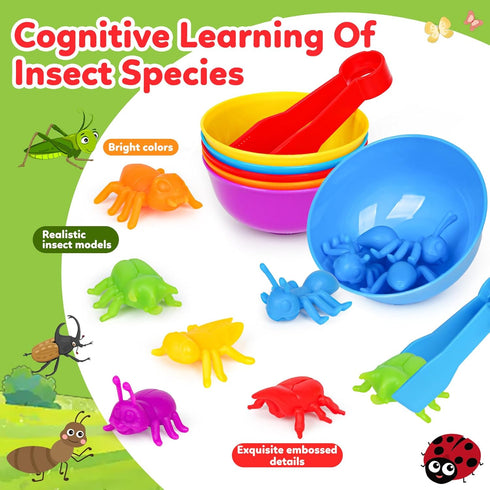Counting 3 4 5 Insects Matching Toys with Sorting Bowls and Games Dice Montessori Preschool Educational Activities