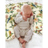 Hummingbirds Vintage Tropical Floral Baby Nursing Pillow Covers for Boy Girl Spring Birds Nursing Slipcovers