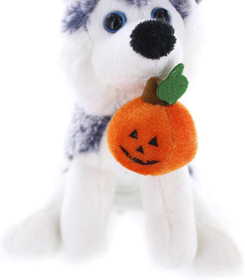 Plushland Halloween Pawpals 8 Inch Puppy Dog Plush Toy with Hat and Jack O Lantern for Kids