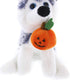 Plushland Halloween Pawpals 8 Inch Puppy Dog Plush Toy with Hat and Jack O Lantern for Kids