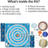 OzoGoes to The Solar System: STEM Kit, Ages 8+, Learn Solar System, Problem-Solving, Easy Assembly