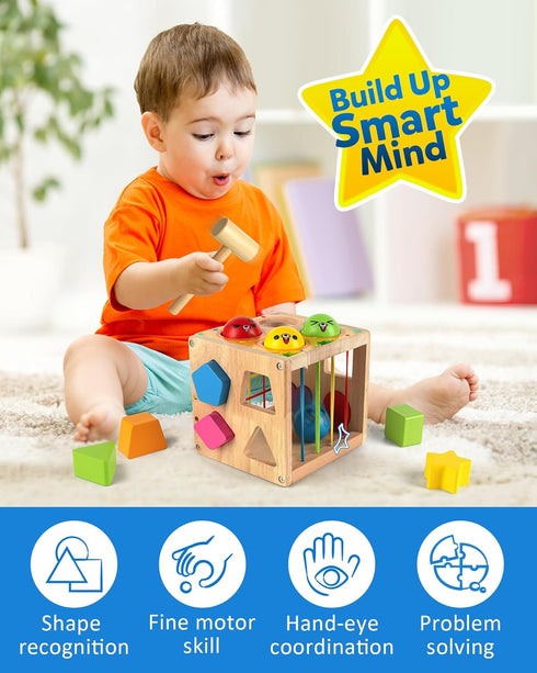 18 Coogam Wooden Montessori Toys for Toddlers, Shape Sorting Cube Fine Motor Skills Game for Year Old Month+ Baby Boys