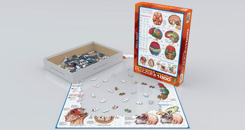 EuroGraphics Human Body (The Brain) 1000 Piece Puzzle