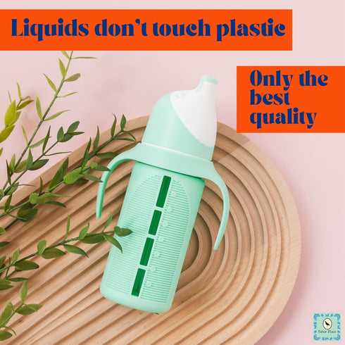 Set 2 8 oz Tabor Place of - Glass Sippy Cup for Toddlers - The Luca | Spill-Proof | Silicone Straw | Mint Green