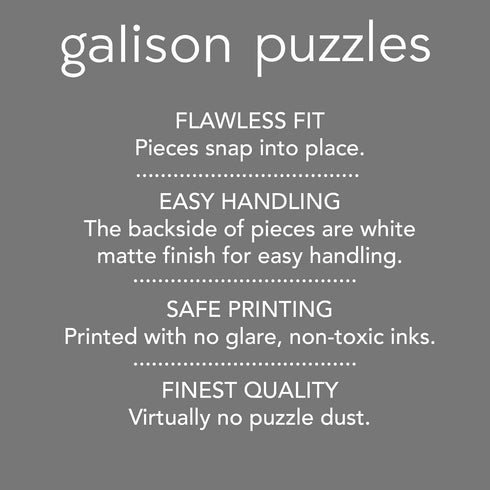 Galison Cosmic Highway – 1000 Piece Puzzle with Bright Artwork of Surreal Landscapes for Adults and Families