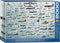 Evolution of Military Aircraft