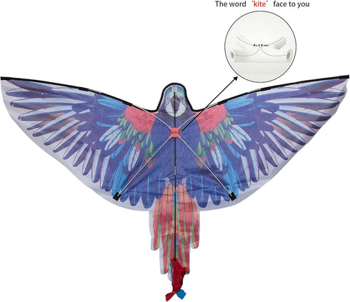 JEKOSEN Huge Parrot Kite for Kids and Adults, Easy to Fly Single Line String with Tail for Outdoor Activities