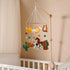 Colorful Western Crib Mobile - Gender Neutral Nursery Decor