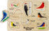 Lift and Learn Birds Puzzle, Made in USA