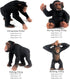 10 Playset FUNSHOWCASE Gorilla and Chimpanzees African Jungle Animals Toy Figure Realistic Plastic Figurine