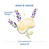 (2 oz) Motherlove Birth & Baby Oil Gentle Lavender-Infused Oil for Perineal, Labor & Baby MassageNon-GMO, Organic Herbs