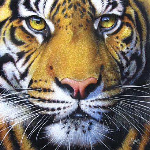 SUNSOUT INC Golden Tiger Face Jigsaw Puzzle, 1000 pc by Artist Jurek, Finished Size 26" x 26", MPN# 58628