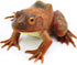 Gemini&Genius Tree Frog Realistic Hand Painted Toy, Backyard Decor, Carnival Game, Educational Gifts for Ages 3+