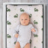 The Peanutshell Baby Changing Pad Covers Boy, Minky Changing Table Sheets, Dinosaur Nursery Decor, Sage Green Baby