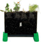 Watch It Grow Plant Viewer - 1 Piece - Educational and Learning Activities for Kids