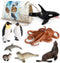 Volnau Sea Creature Toys Figures 8PCS Antarctica Ocean Animals for Toddlers, Christmas Decoration Gift