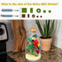 Creative Parrot Toy Building Set, Mini Animal Friend Set, Party Favors Gift for Kids, Home Decor for Animal Lovers,