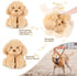 SuzziPals Warmable Golden Retriever Plush Toy Weighted Stuffed Animals, Microwavable Stuffed Animal Heating Pads