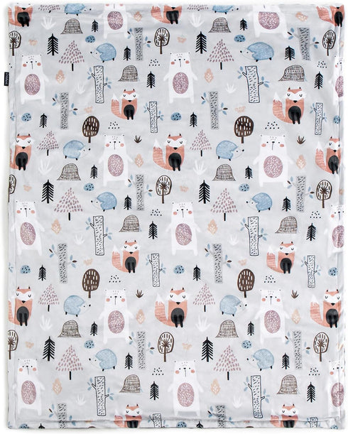 Baby Blanket for Boys Girls, Super Soft, Fluffy Warm Lightweight, 30 * 40inch, Fox