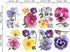 Pansy Flowers Wall Stickers, DIY Floral Wall Decals Art Decor for Kids Girls Bedrooms, Living Room