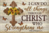 500 Piece Inspirational Wooden Jigsaw Puzzles for Adults - Cross I Can Do All Things, Butterfly Animal