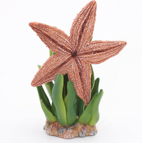 Gemini&Genius Starfish Toys for Kids - Realistic Starfish Figurine Toy - Under The Sea Life Figure Educational Gifts