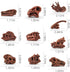 11PCS Set LC JoyCre Realistic Mini Dinosaur Bones T-rex Skull for Sandbox Kids Toys Carnotaurus Velociraptot