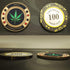SW Poker Card-Guard Coin Collectibles - Golden Coin Chip Protector with Plastic Case, Great Gift for Collectors