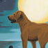Dimensions PaintWorks 73-91857 Moonrise Dog Animal Paint by Number Kit for Adults and Kids, 11" x 11", Multicolor