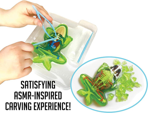 Dissect It Kit for Kids, Upgraded Frog Dissection Toy Kit, Realistic Lab Experience, STEM Toys for Animal Science