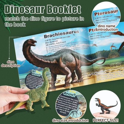 OENUX Dinosaur Toys for Kids 3-5, 12pcs Realistic Jurassic Figures Playset with Educational Booklet for Boys Girls