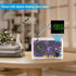 LEPANDA 2inch Radio with Speaker and Acrylic Case, DIY FM Radio Soldering Project, Electronic Soldering Practice Kit