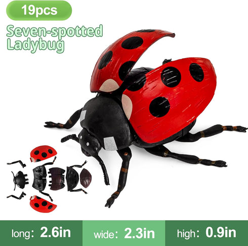 ECOHDT 7Pcs 3D Kids,1:1 5 6 7 8+ Set,Educational Lifelike Puzzles for Replica Insect Building Toys for Year Old Boys