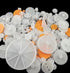 200pcs 0.5 Mold Plastic Motor Gears Small Set, Plastic Crown Gear, Single Double Reduction Gear for Electric Motor