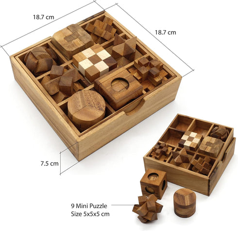 BSIRI 9 Puzzles in a Box, Wooden Brain Teaser Puzzles, Educational Kids Games, Ideal for Birthday Gifts