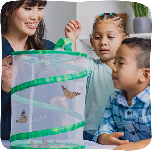 5 Insect Lore Butterfly Garden with Live Baby Caterpillars - STEM Activity Journal, Habitat, Chrys-A-Lid Holder