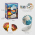 8 Inch 8-13, 6+ Science Can Openable Globe for Kids, Interactive World Globe, Talking Model with Knowledge & Quiz Mode