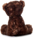 The Petting Zoo Brown Bear Plush Toy, Gifts for Kids, Wild Onez Zoo Animals (9 inches)