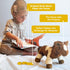 Bene World Haylo The Horse Stuffed Animal, Emotion Management Plush Toy for Kids, Horse & Book Set